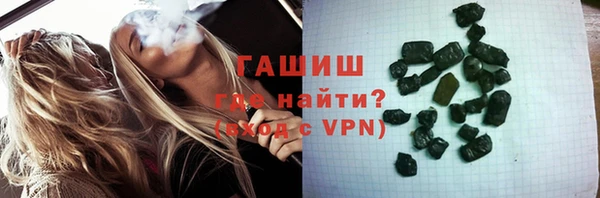 стаф Тында